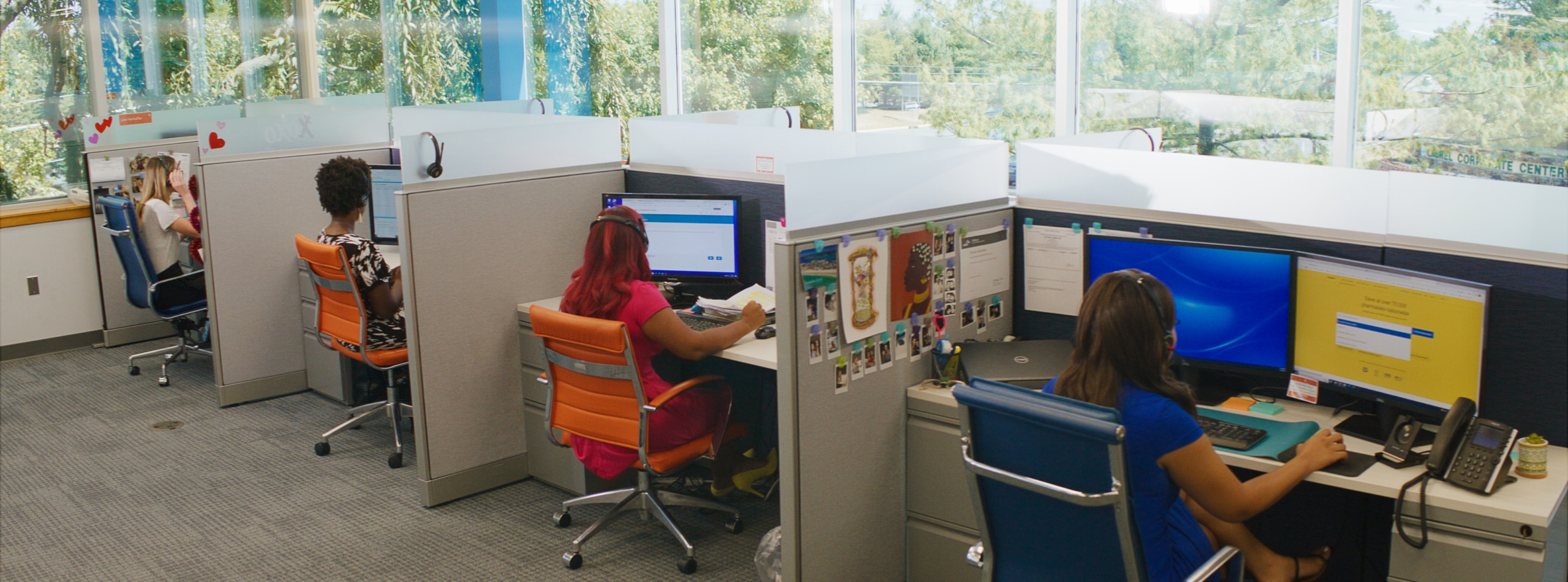 Four women working in cubicles in a brightly lit office